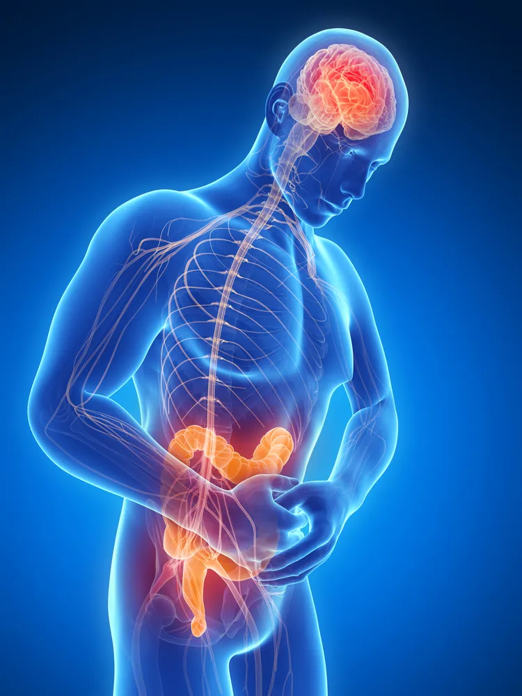 Imagen sobre "Síndrome de Intestino Irritable (Colon Irritable)"